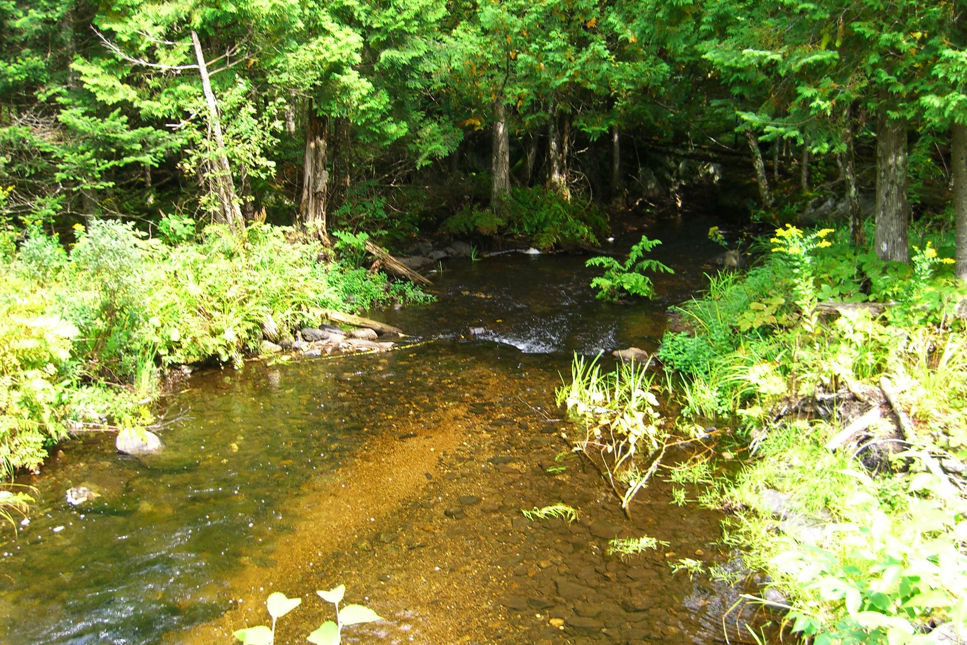 Espaces verts du domaine